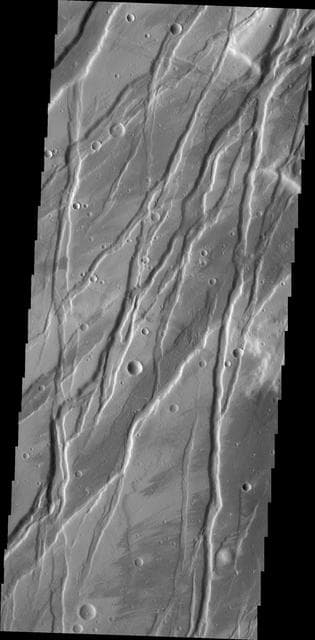NASA image: Tempe Fossae