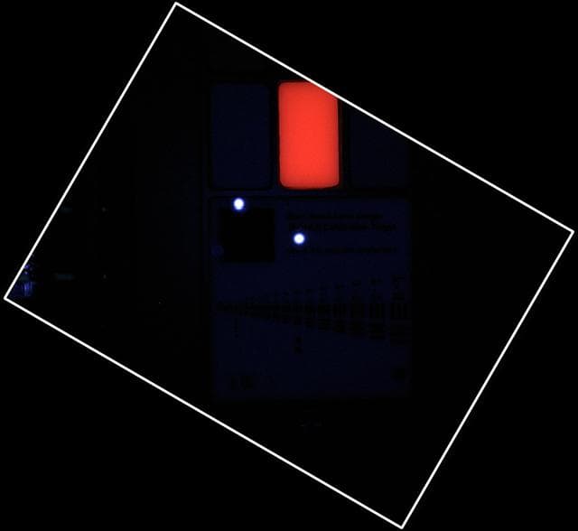NASA image: MAHLI Calibration Target in Ultraviolet Light