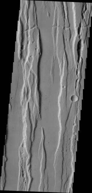 NASA image: Ceraunius Fossae