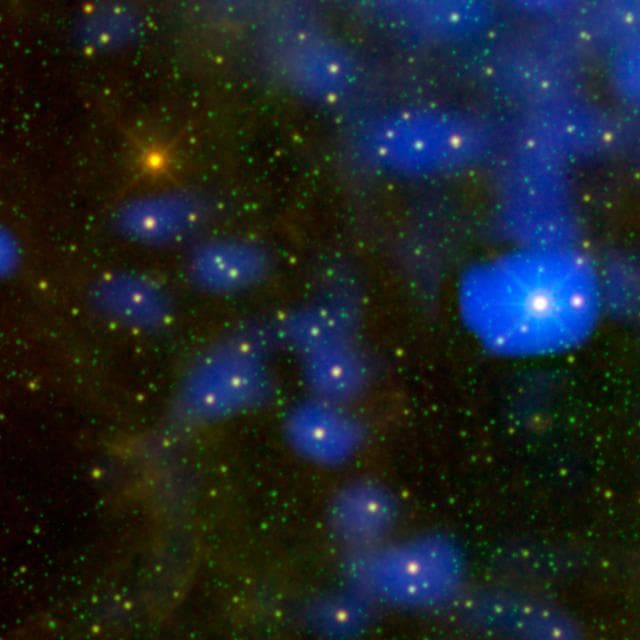 NASA image: Dusty Star Stands Out From the Rest