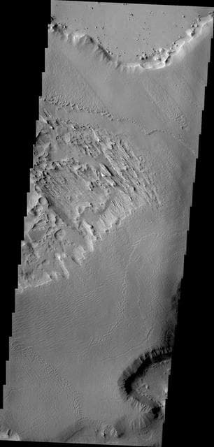 NASA image: Gordii Dorsum