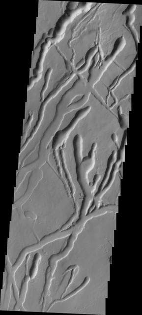NASA image: Ascraeus Mons 