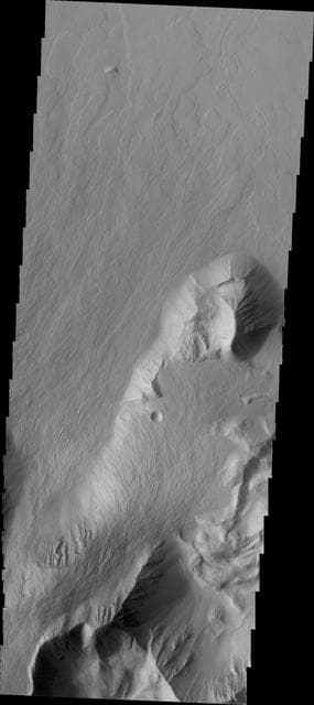 Olympus Rupes