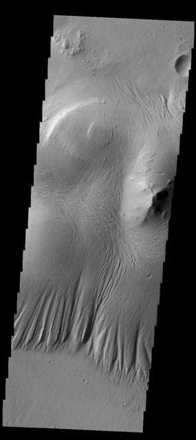 NASA image: Nicholson Crater
