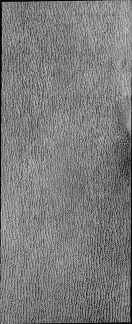 NASA image: North Polar Dunes