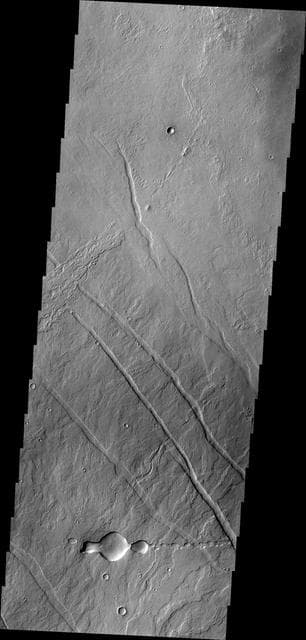 NASA image: Tharsis Volcanics