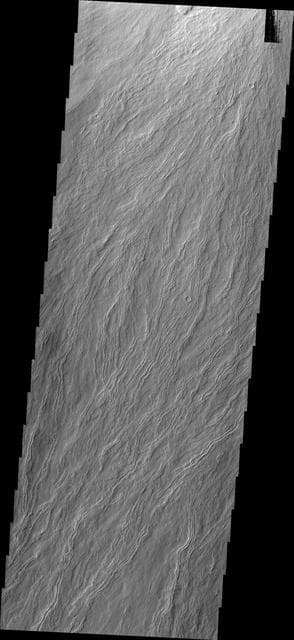 NASA image: Olympus Mons
