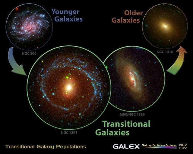 NASA image: Portrait of a Galaxy Life