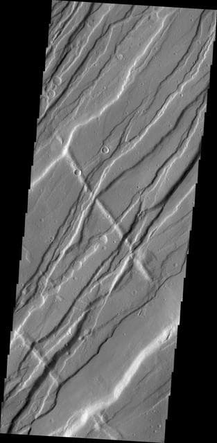 NASA image: Tempe Fossae