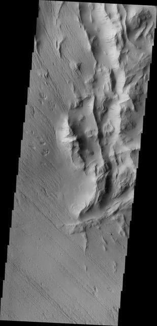 NASA image: Lycus Sulci