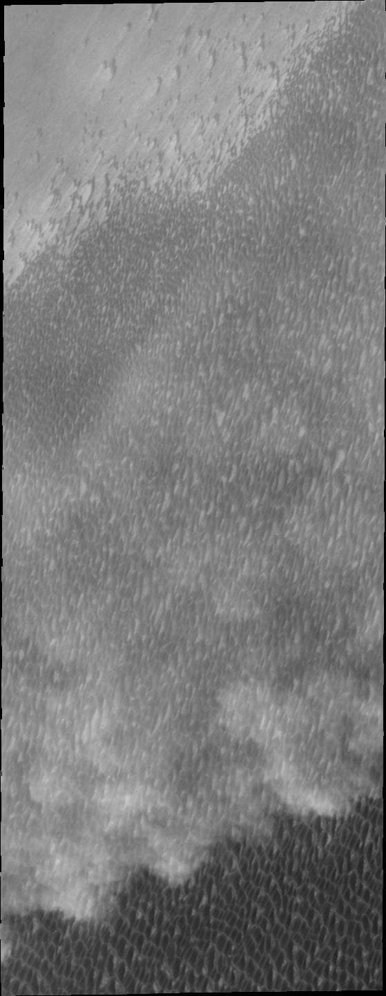 NASA image: Storm Front