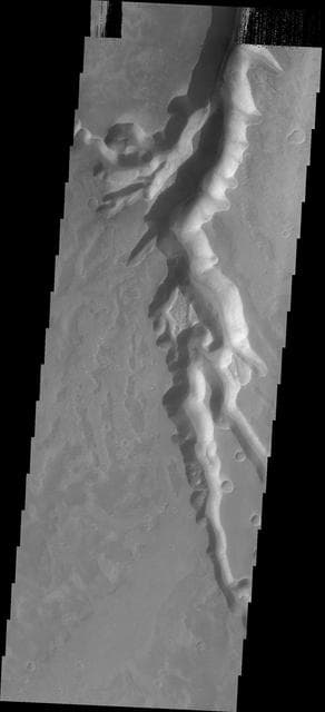 NASA image: Mega Gully