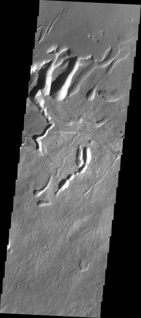 NASA image: Arsia Mons