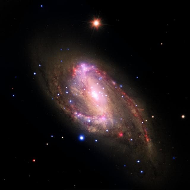 NASA image: NGC 3627: Revealing Hidden Black Holes