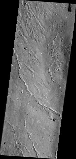 NASA image: Alba Mons Channels