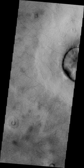 NASA image: Dust Devil Tracks