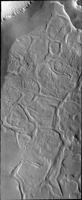 NASA image: Hyperboreus Labyrinthus