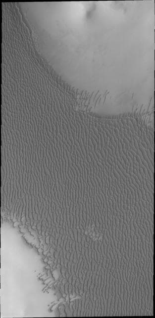 NASA image: Olympia Undae