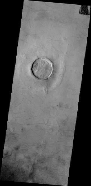 NASA image: Dust Devil Tracks