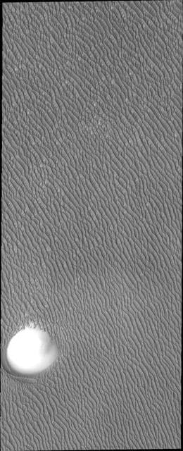 NASA image: North Polar Dunes