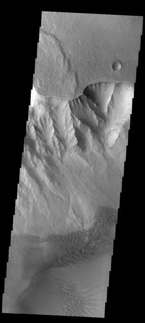 NASA image: Juventae Chasma Dunes