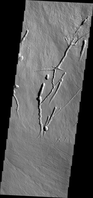 NASA image: Pavonis Mons