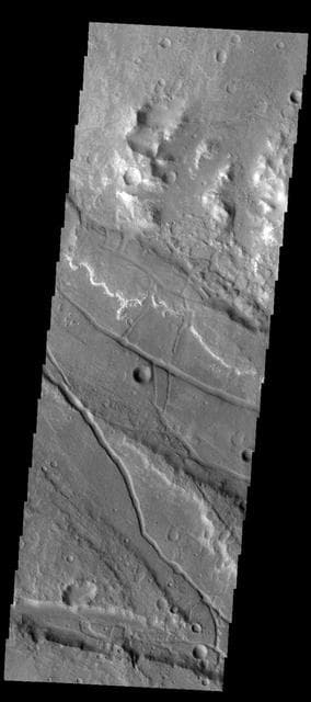 NASA image: Ladon Valles