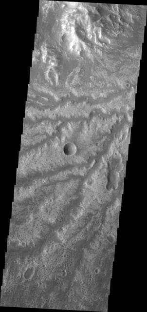NASA image: Arda Valles