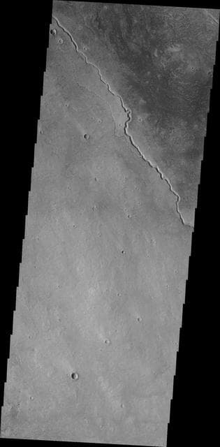 NASA image: Elysium Channels