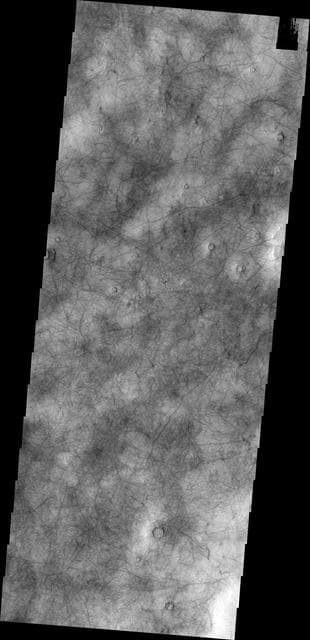NASA image: Utopia Planitia