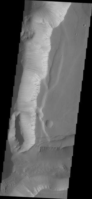 NASA image: Noctis Labyrinthus