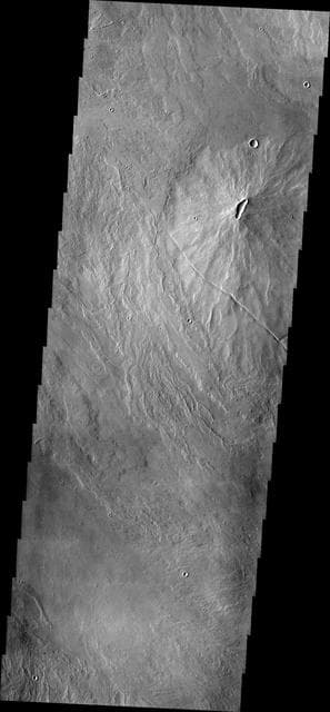 NASA image: Tharsis Volcanics