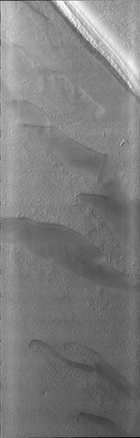 NASA image: South Pole