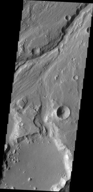 NASA image: Maja Valles