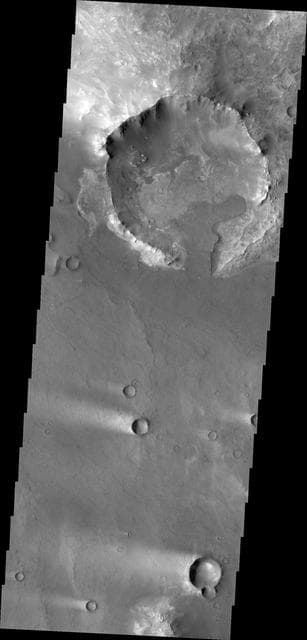 NASA image: Syrtis Major