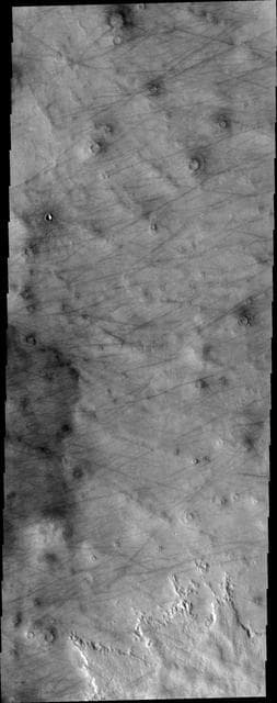 NASA image: Dust Devil Tracks