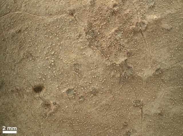 NASA image: Close-up of Brushed Area on Martian Rock Target Ekwir_1