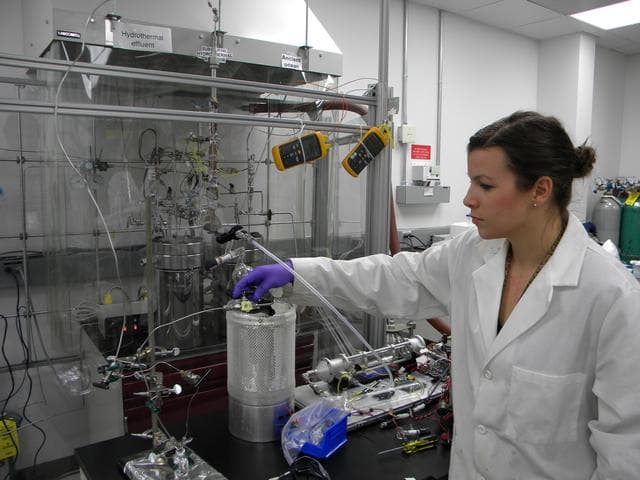 Simulating a Submarine Hydrothermal Vent
