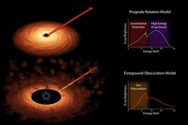 NASA image: Two Models of Black Hole Spin Artist Concept