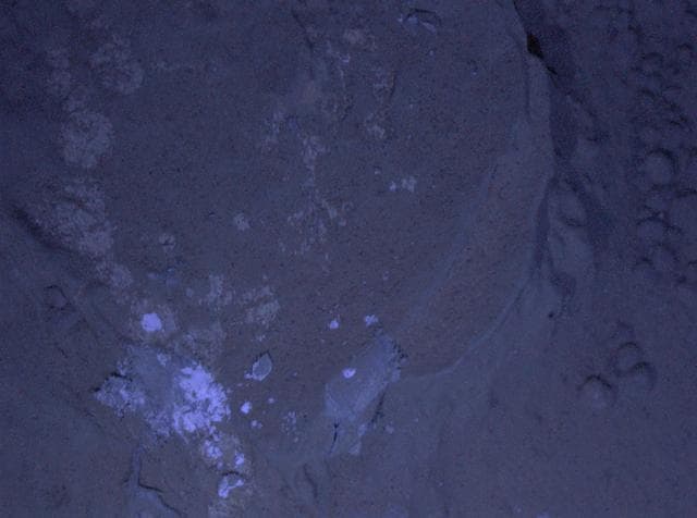 NASA image: MAHLI First Night Imaging of Martian Rock Under Ultraviolet Lighting