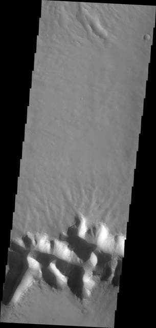 NASA image: Mega Gully