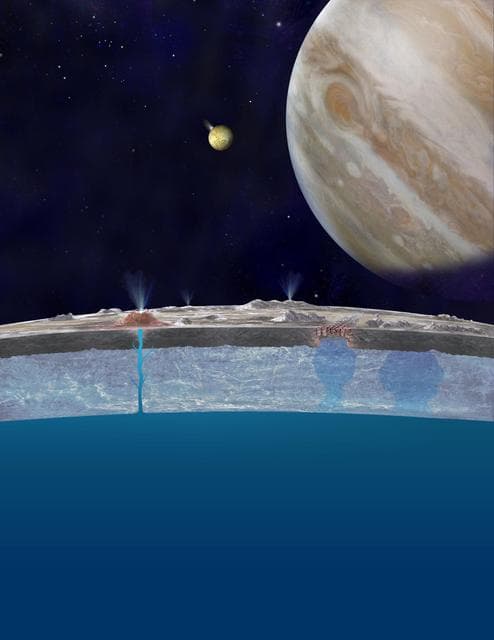 NASA image: Taste of the Ocean on Europa Surface Artist Concept