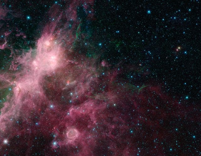 NASA image: Life and Death Intermingled