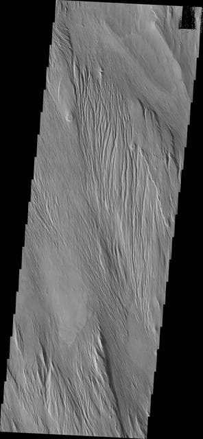 NASA image: Yardangs