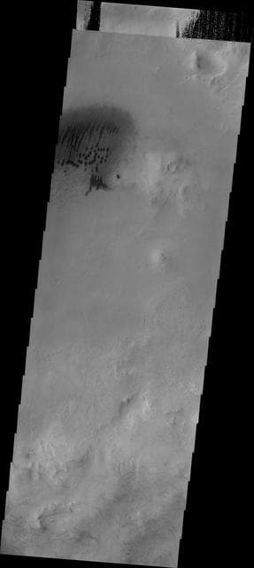 NASA image: Dunes and Dust Devils