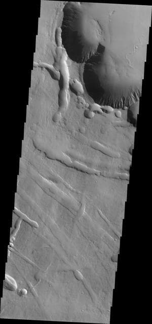 NASA image: Pavonis Chasma
