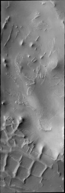 Polar Ridges