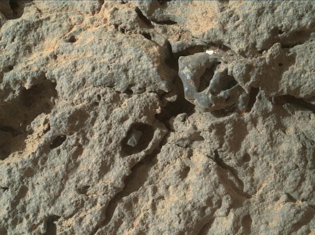 NASA image: Detail in Point