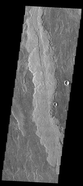 NASA image: Daedalia Planum