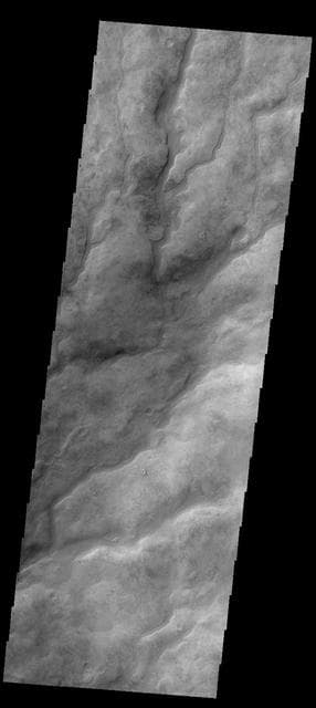 NASA image: Valley Networks